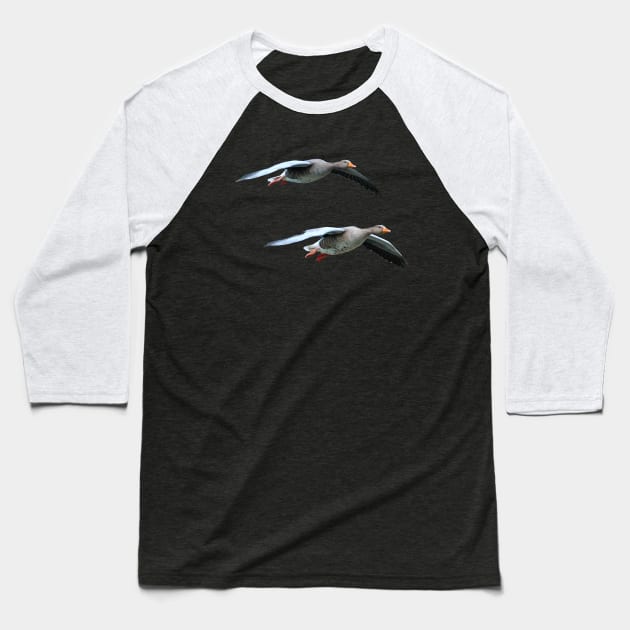 Pair of Greylag geese coming into land Baseball T-Shirt by dalyndigaital2@gmail.com